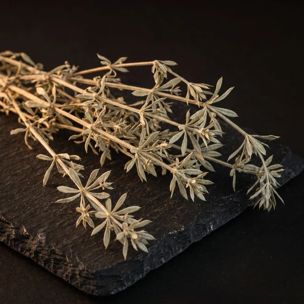 Galium aparine (Amor de hortelano)